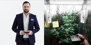 Симулятор наркодилера появится на консолях